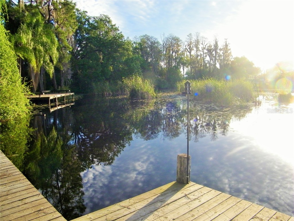 17017 Paula Lane Lutz FL 33558 - LKBARBARA LKHELENLKELLEN+4LK TB8403457 image48