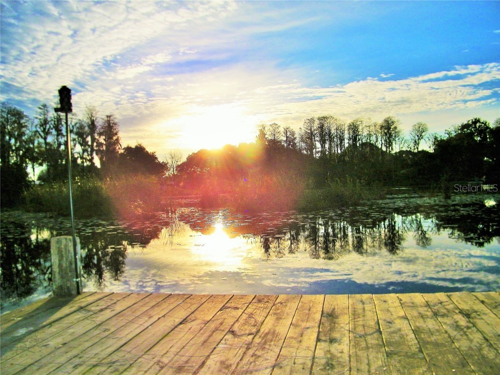 17017 Paula Lane Lutz FL 33558 - LKBARBARA LKHELENLKELLEN+4LK TB8403457 image49