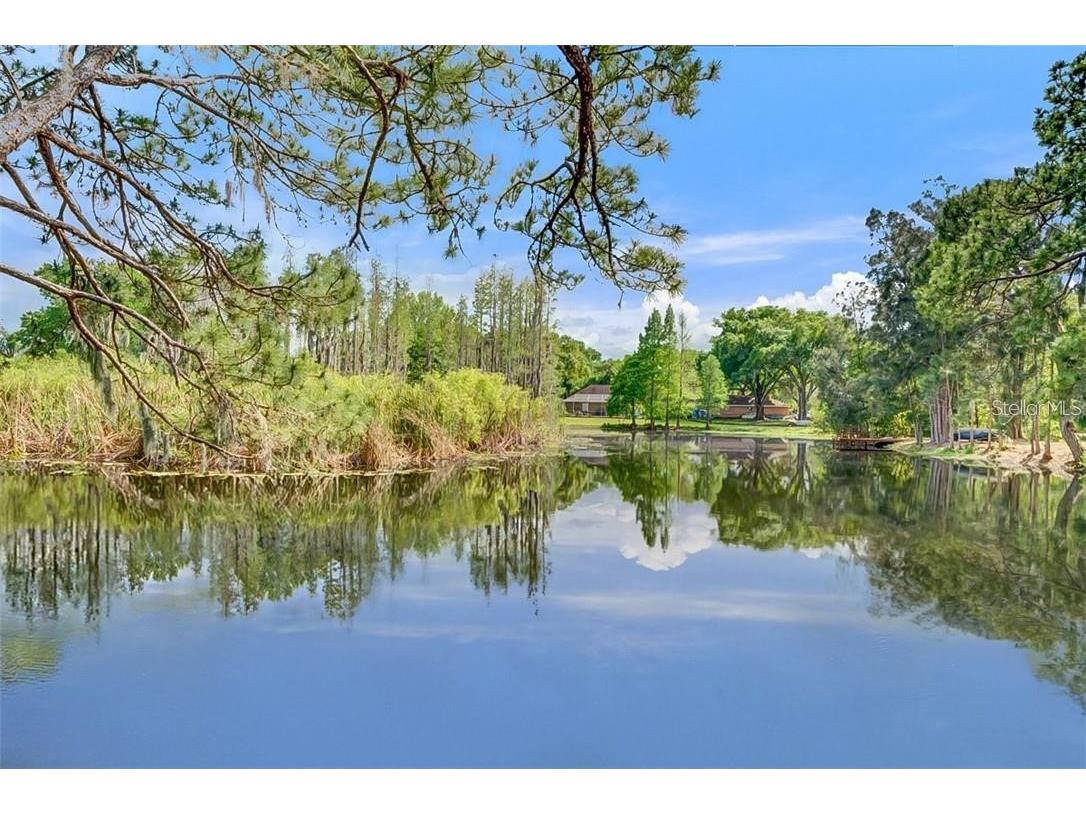 17017 Paula Lane Lutz FL 33558 - LKBARBARA LKHELENLKELLEN+4LK TB8403457 image51