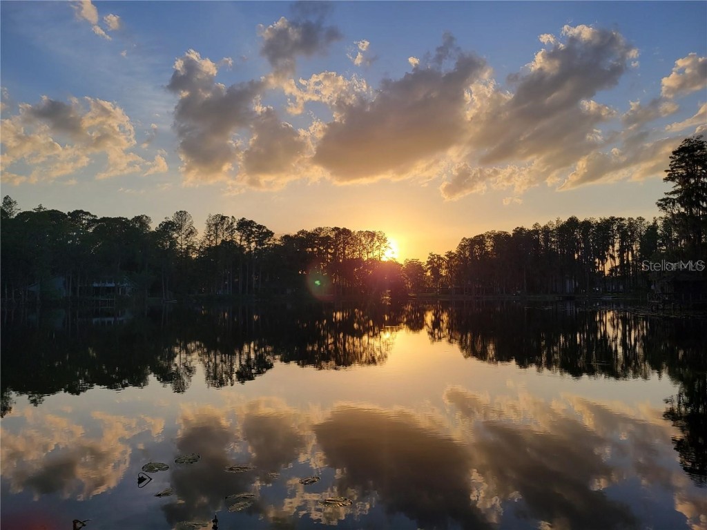 17017 Paula Lane Lutz FL 33558 - LKBARBARA LKHELENLKELLEN+4LK TB8403457 image52