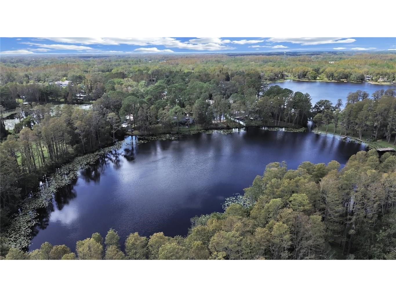 17017 Paula Lane Lutz FL 33558 - LKBARBARA LKHELENLKELLEN+4LK TB8403457 image7