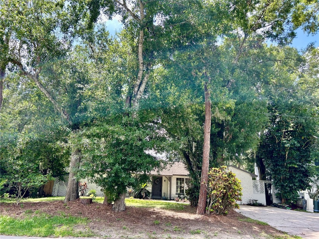 17017 Paula Lane Lutz FL 33558 - LKBARBARA LKHELENLKELLEN+4LK TB8403457 image8