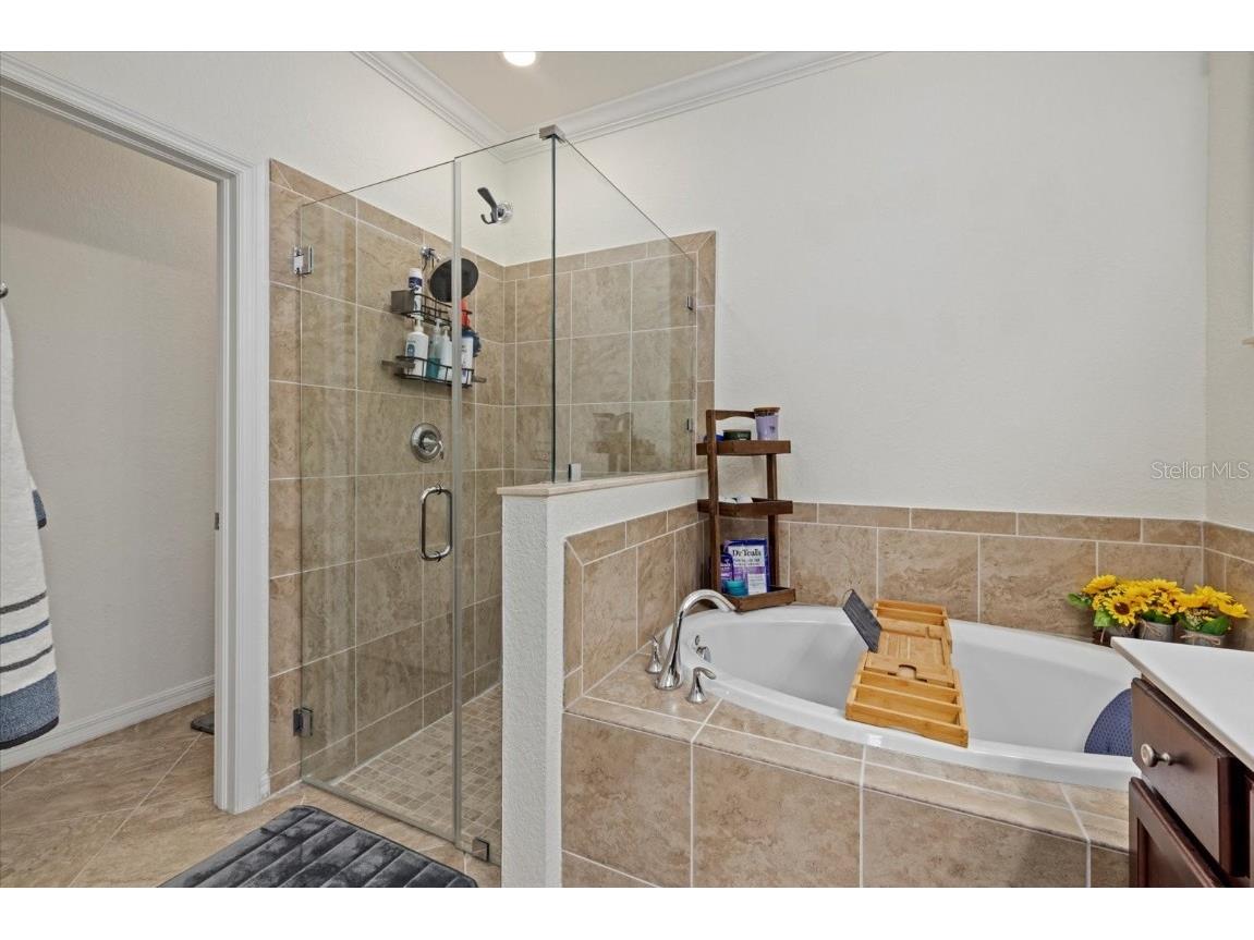 17018 Blue Ridge Place Bradenton FL 34211 A4652257 image20