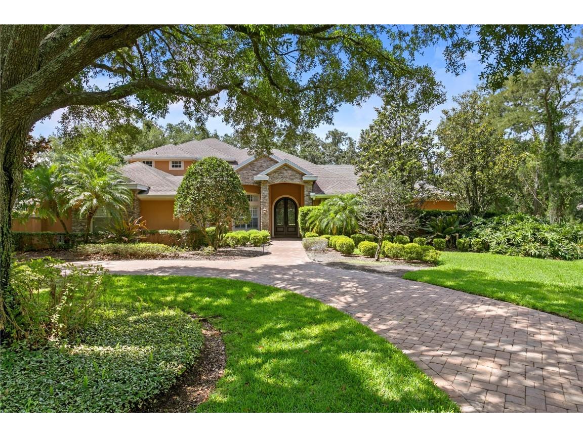 17019 Candeleda De Avila Tampa FL 33613 T3448117 image1