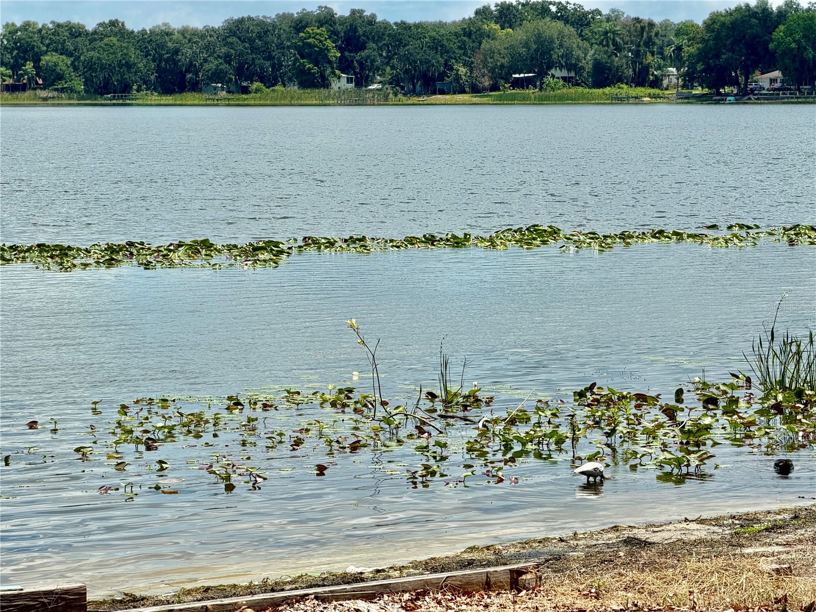 1702 1/2 Us Highway 92 W Auburndale FL 33823 - LAKE LENA L4963226 image72
