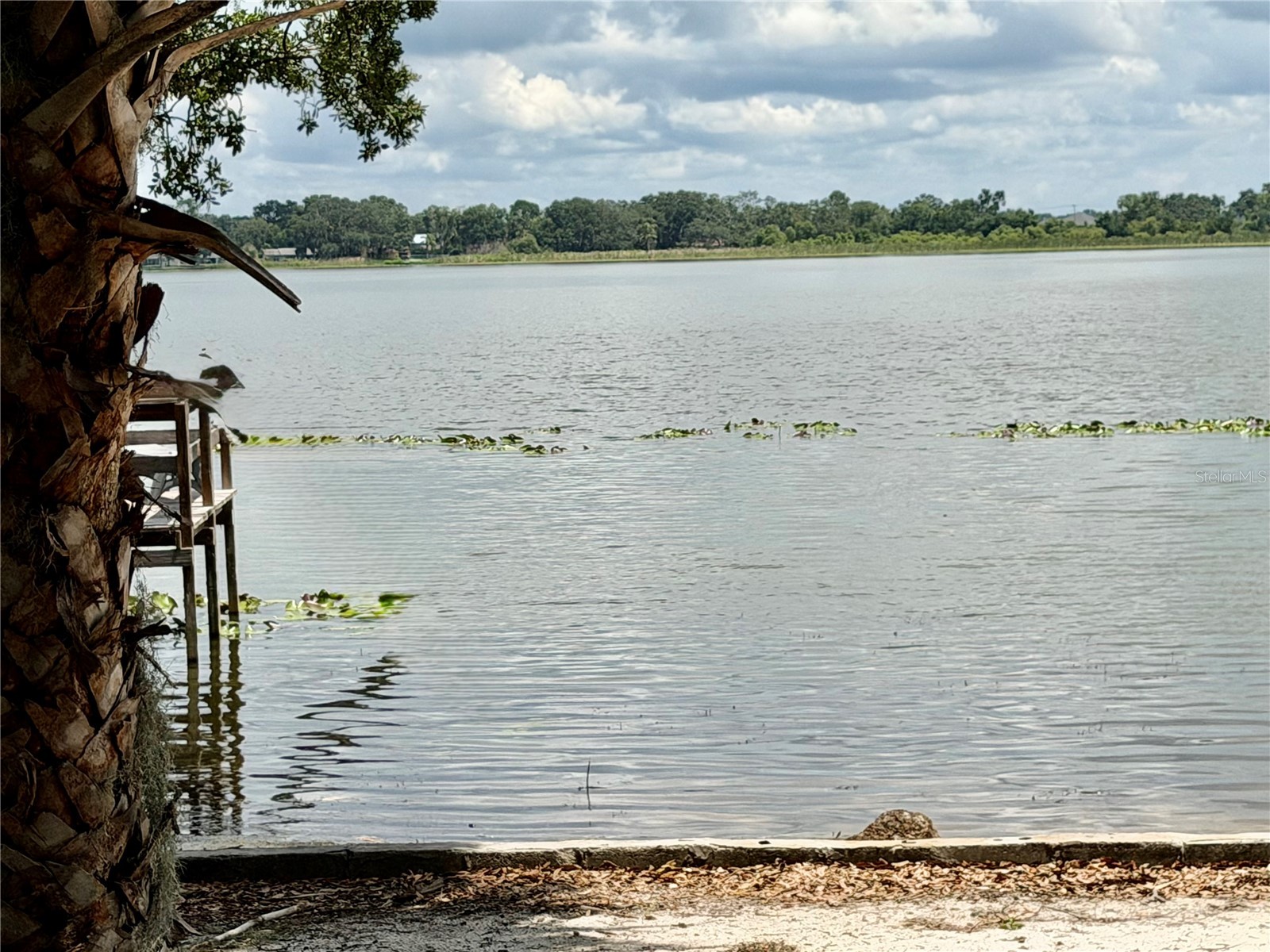 1702 1/2 Us Highway 92 W Auburndale FL 33823 - LAKE LENA L4963226 image73