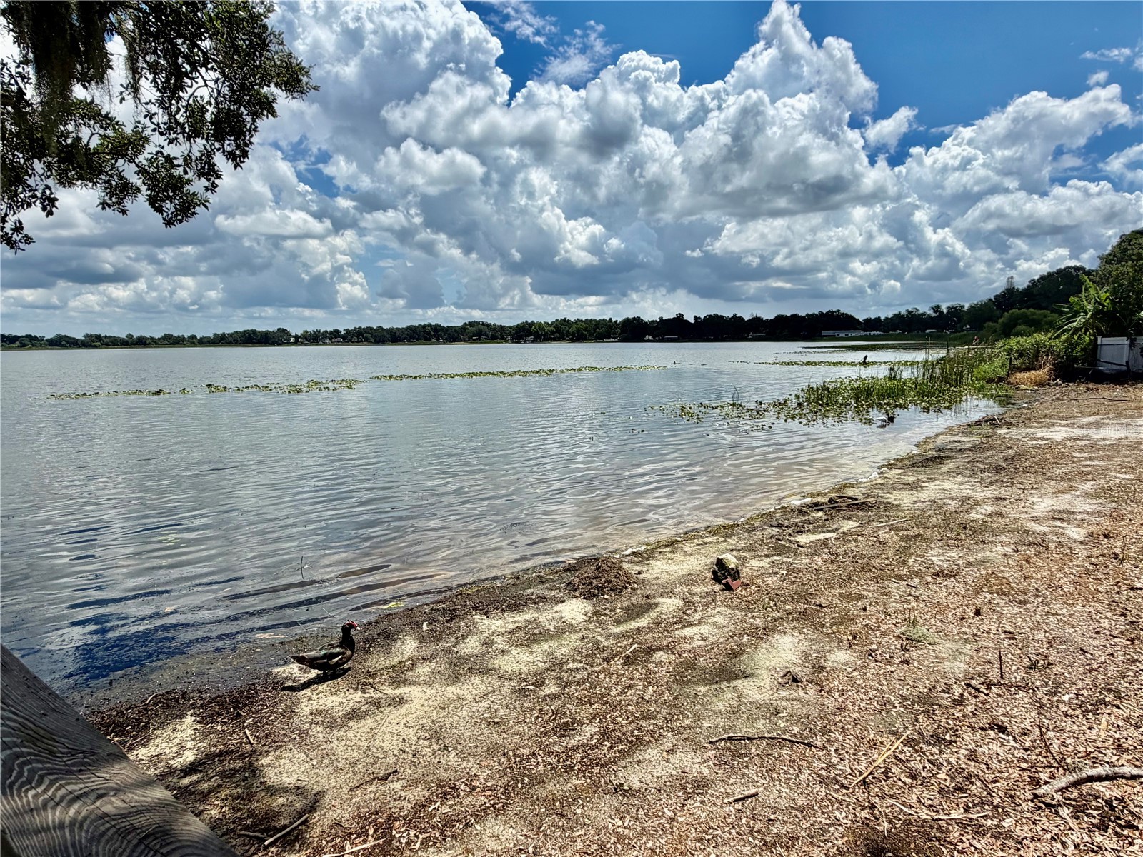 1702 1/2 Us Highway 92 W Auburndale FL 33823 - LAKE LENA L4963226 image78