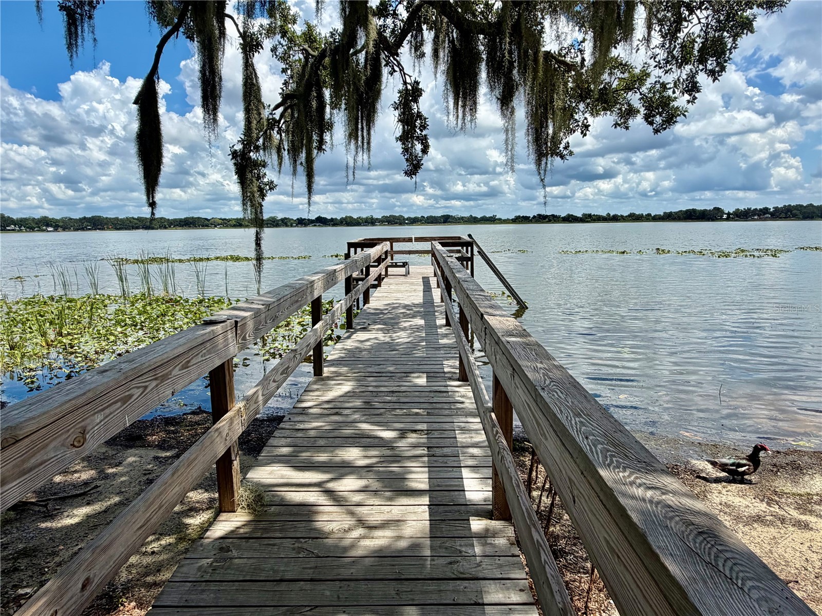 1702 1/2 Us Highway 92 W Auburndale FL 33823 - LAKE LENA L4963226 image79