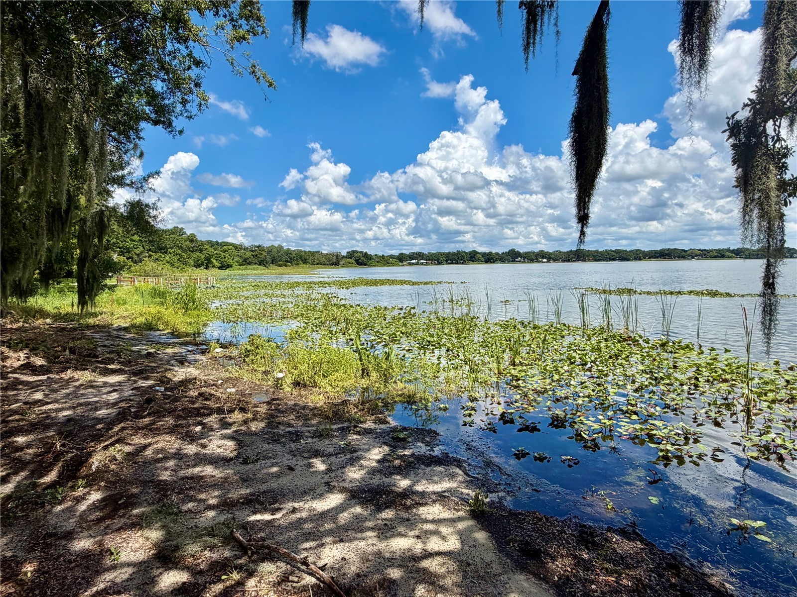 1702 1/2 Us Highway 92 W Auburndale FL 33823 - LAKE LENA L4963226 image81