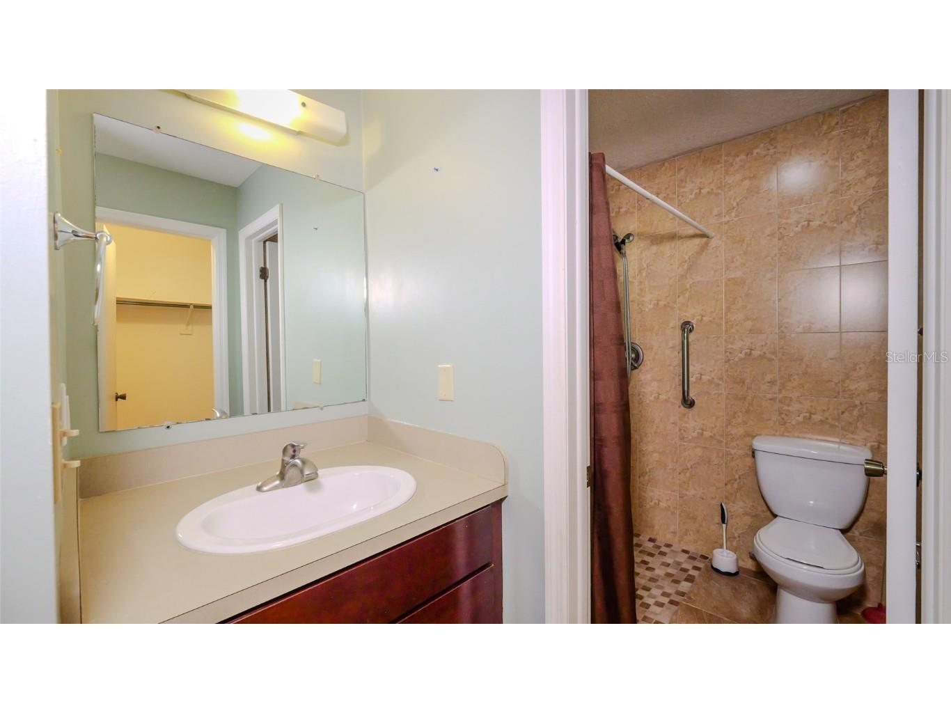 1702 Blind Pond Avenue Lutz FL 33549 T3530049 image13