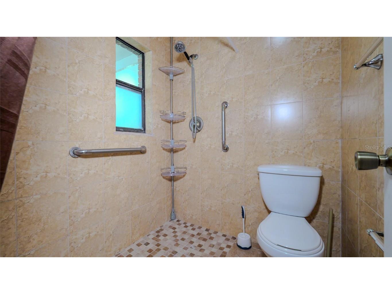 1702 Blind Pond Avenue Lutz FL 33549 T3530049 image14