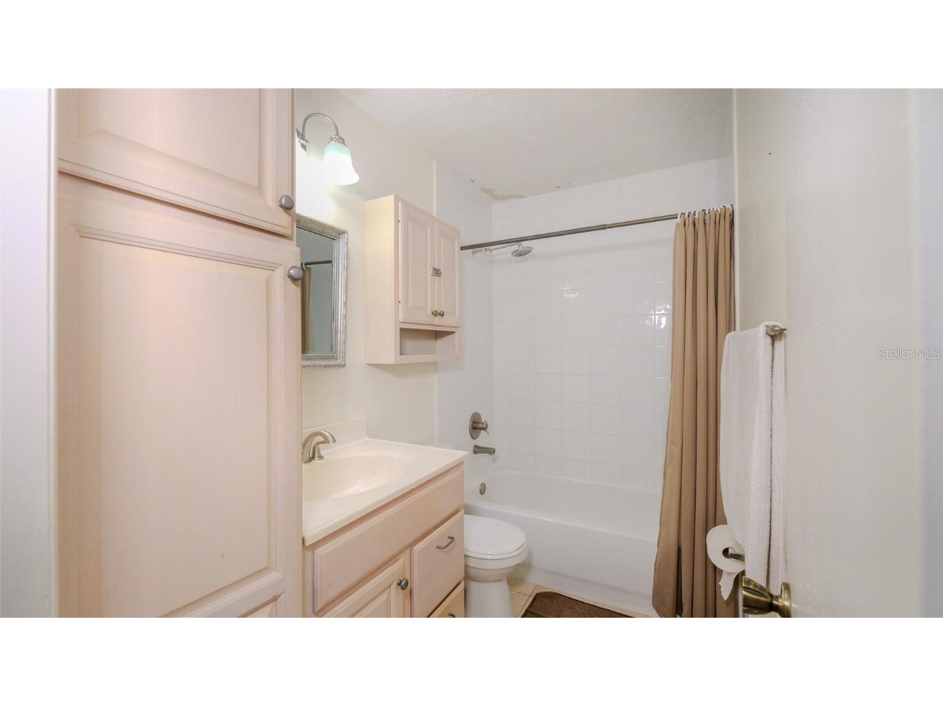 1702 Blind Pond Avenue Lutz FL 33549 T3530049 image15