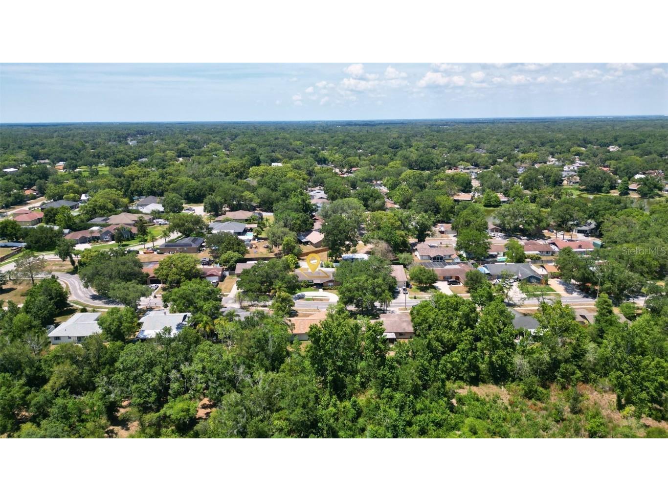 1702 Blind Pond Avenue Lutz FL 33549 T3530049 image2