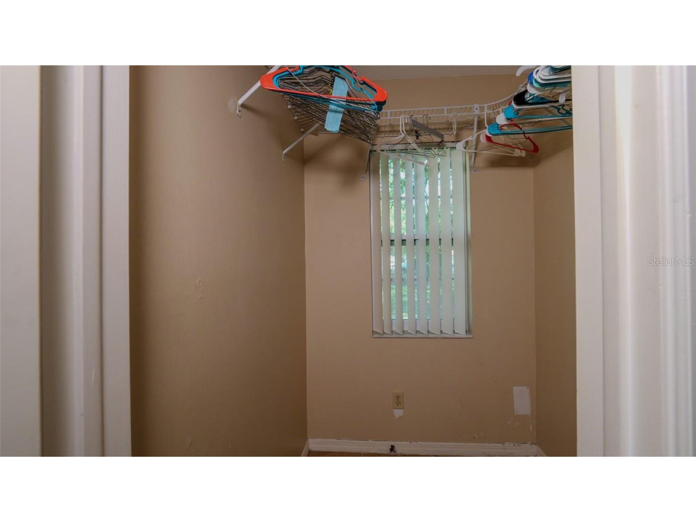 1702 Blind Pond Avenue Lutz FL 33549 T3530049 image20