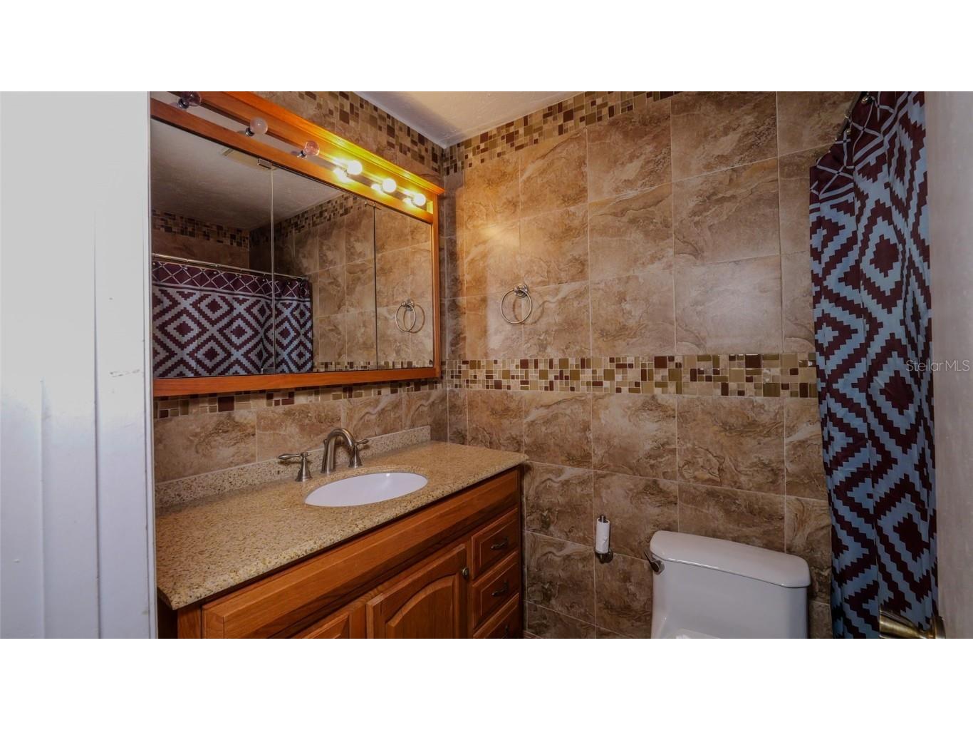 1702 Blind Pond Avenue Lutz FL 33549 T3530049 image21