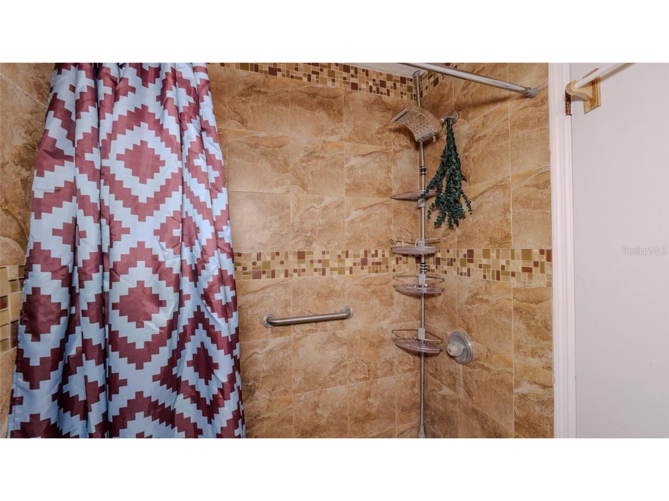 1702 Blind Pond Avenue Lutz FL 33549 T3530049 image23