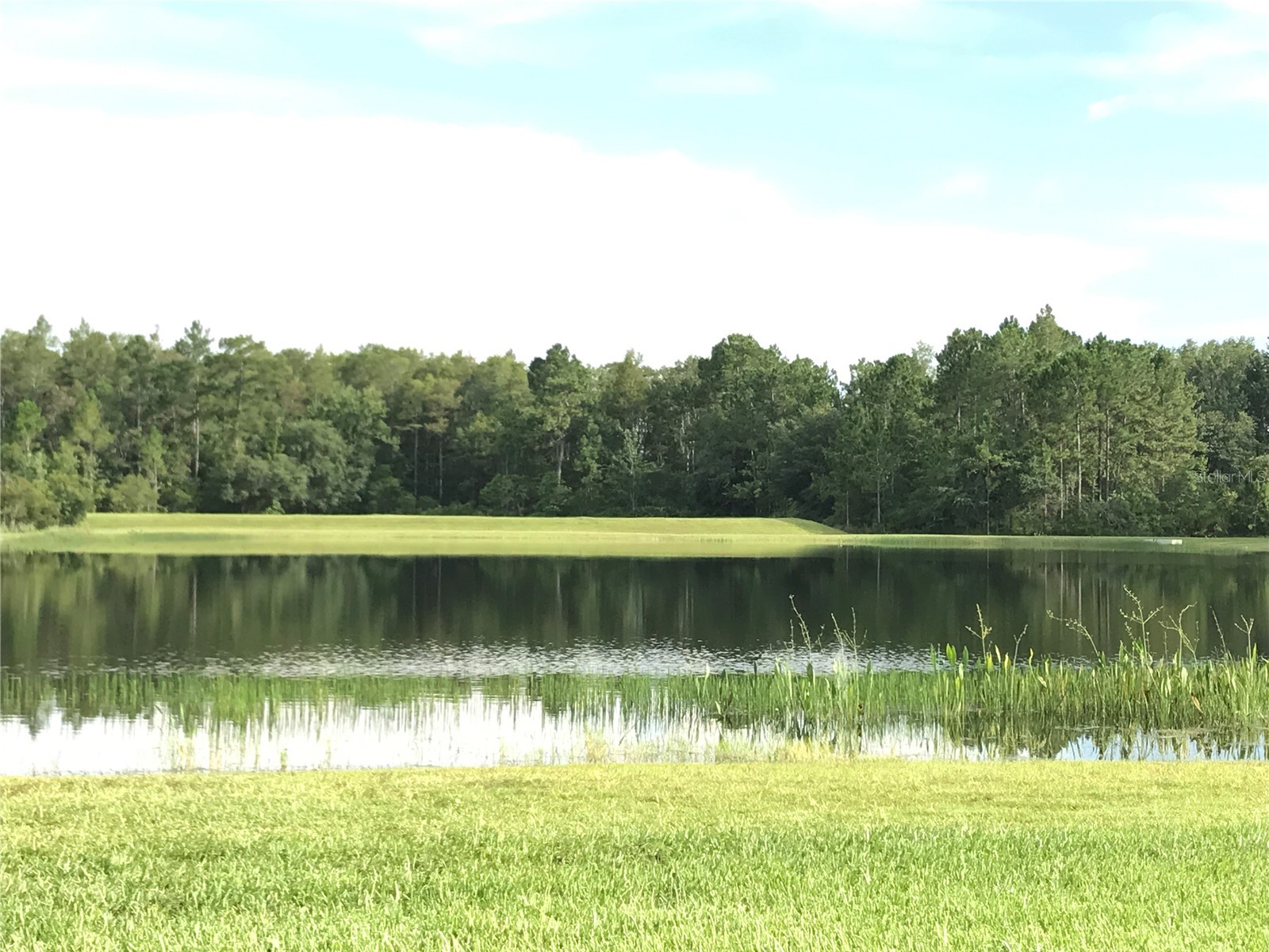 1702 Cypress Ridge Drive Orlando FL 32825 O6379981 image3