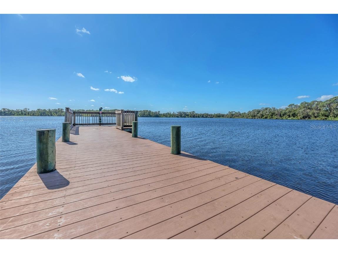 1702 Horseshoe Drive Plant City FL 33566 TB8438926 image46