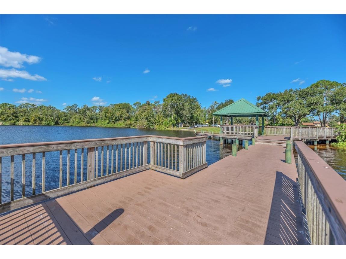 1702 Horseshoe Drive Plant City FL 33566 TB8438926 image47