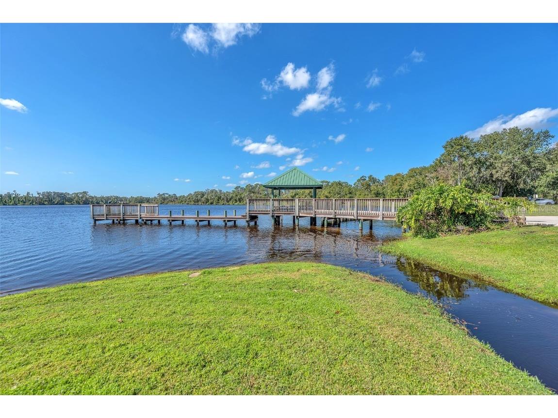 1702 Horseshoe Drive Plant City FL 33566 TB8438926 image50