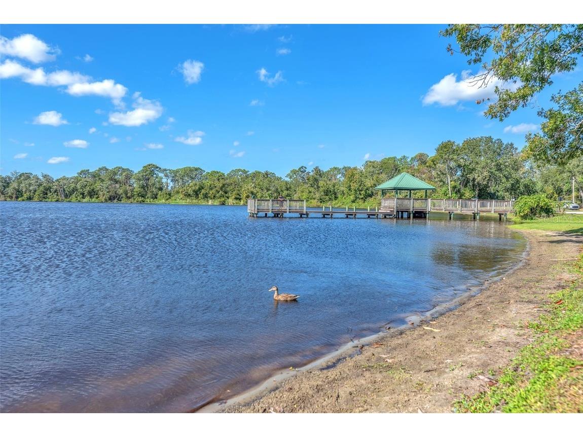 1702 Horseshoe Drive Plant City FL 33566 TB8438926 image51