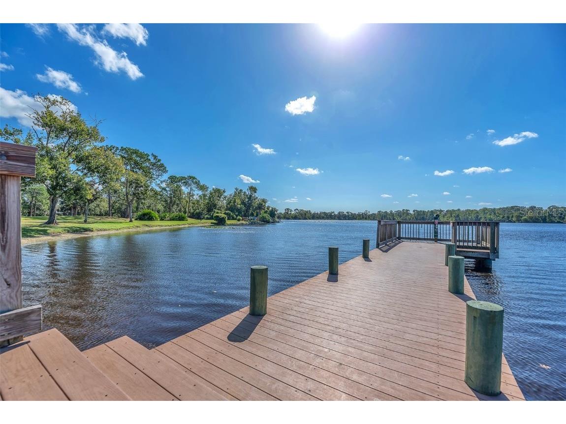 1702 Horseshoe Drive Plant City FL 33566 TB8438926 image61