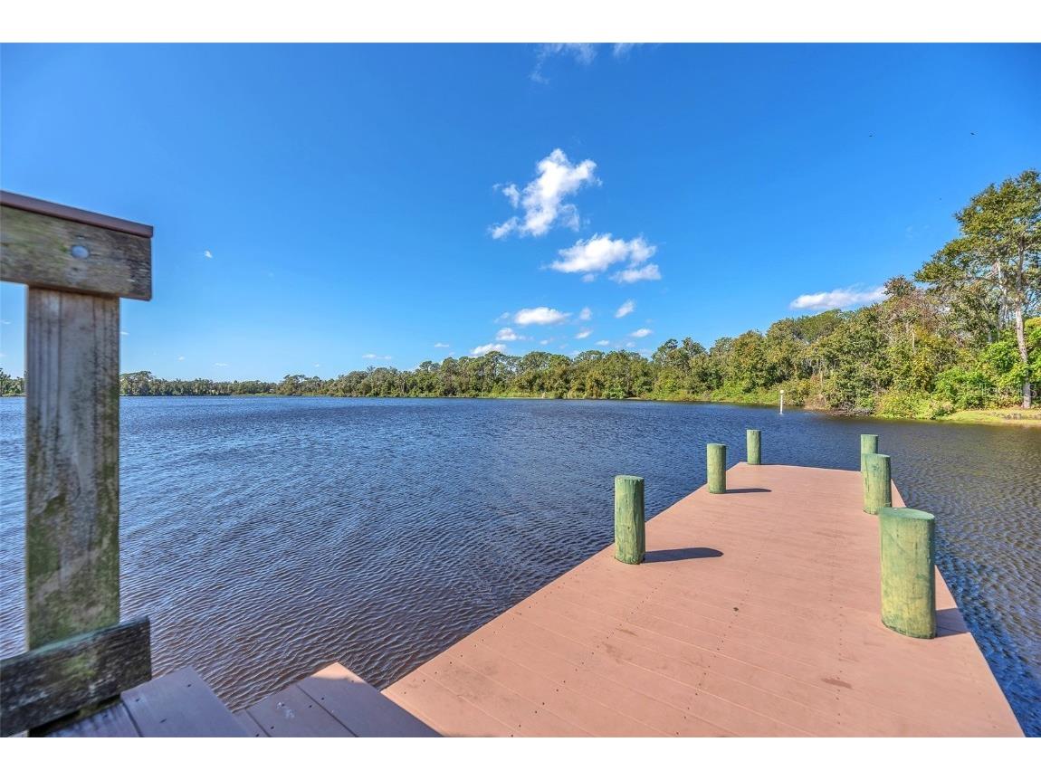 1702 Horseshoe Drive Plant City FL 33566 TB8438926 image65