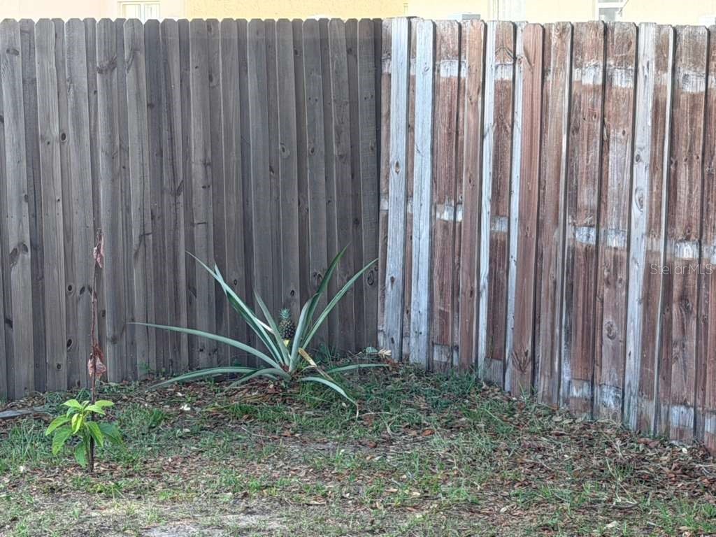 1702 Minnow Court Kissimmee FL 34759 O6410554 image15