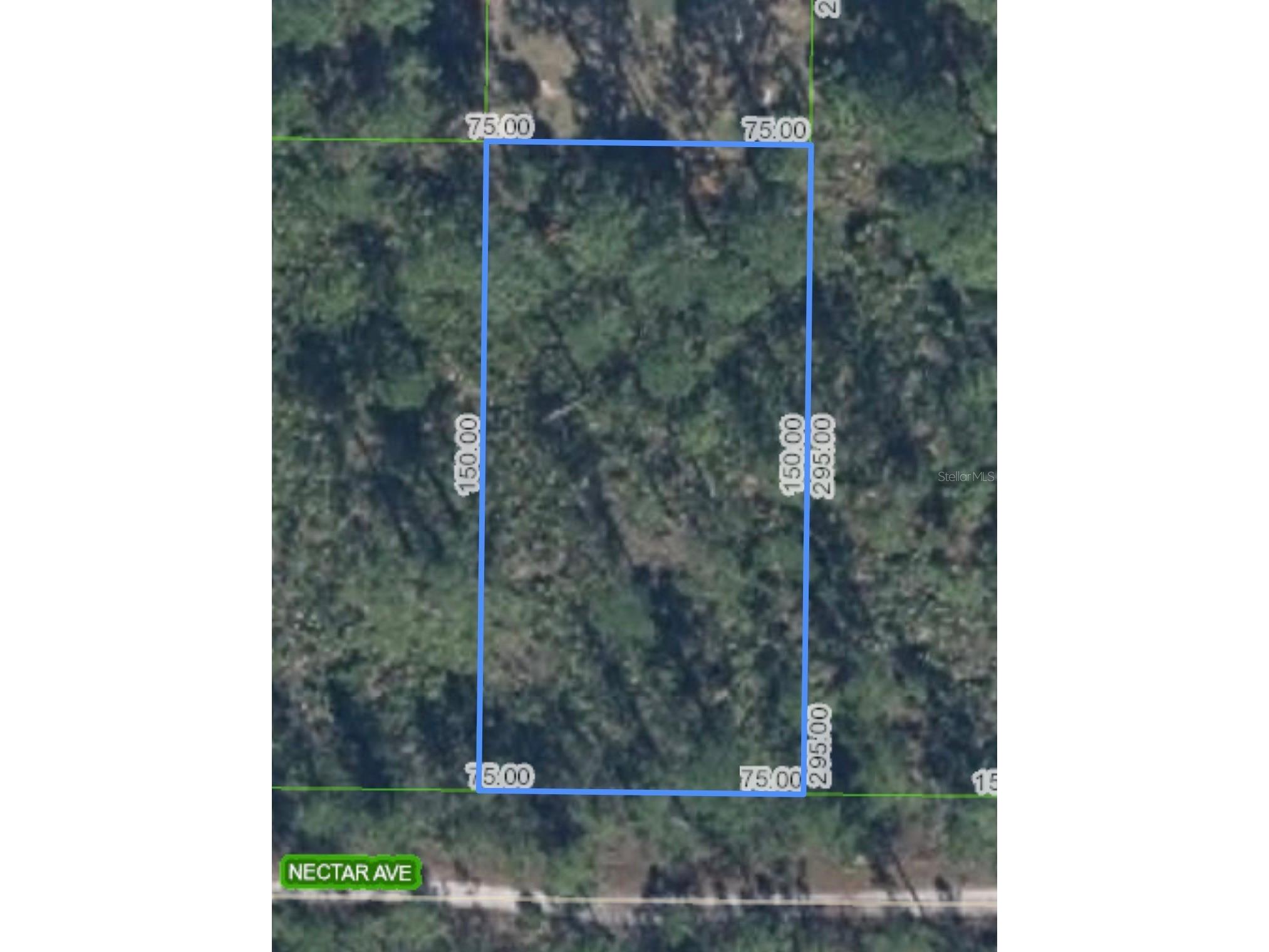 1702 Nectar Avenue Sebring FL 33875 L4960455 image3