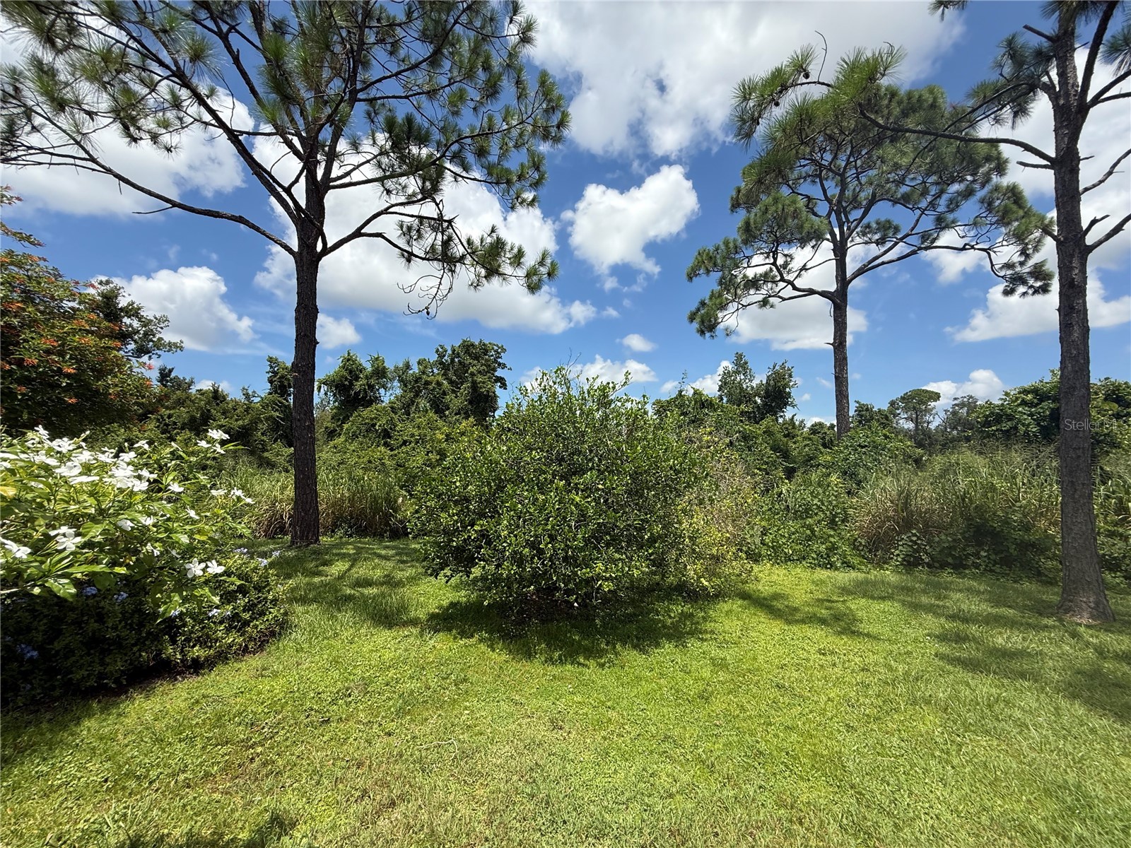 1702 Old Summerwood Boulevard Sarasota FL 34232 A4677316 image55