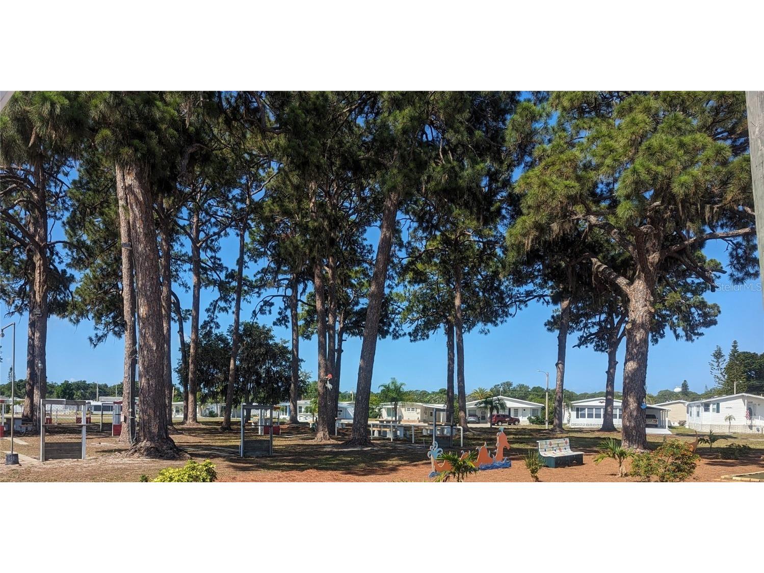 1702 Olympia Fields Street Sarasota FL 34234 A4663958 image14