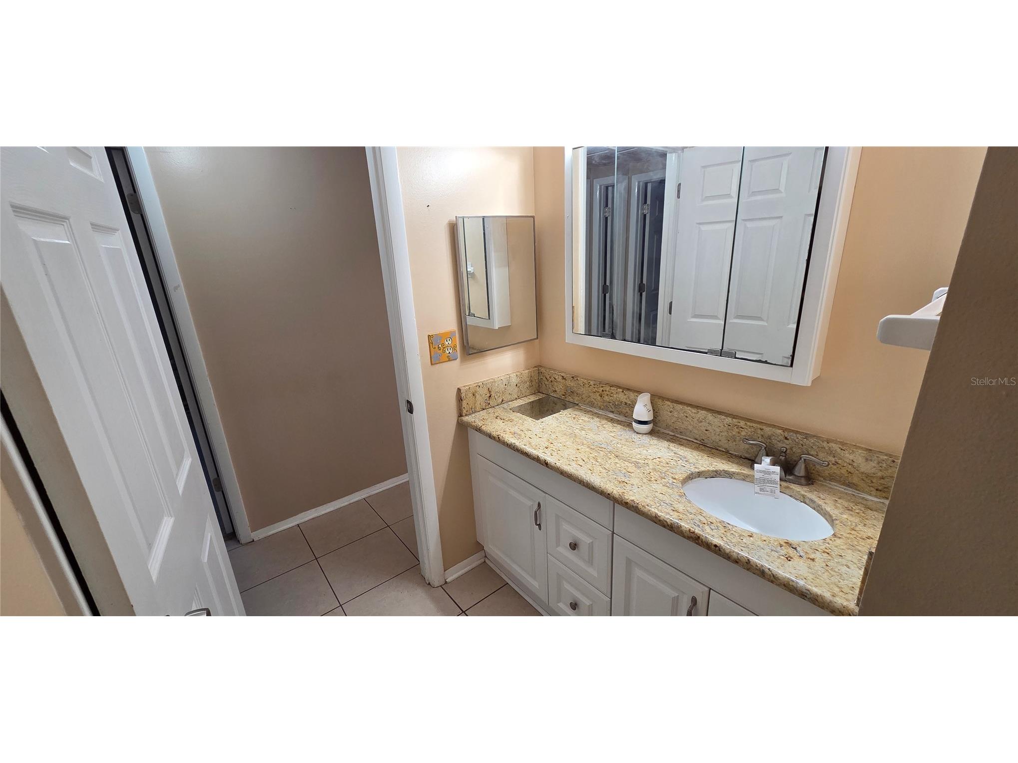 1702 S Miller Road Valrico FL 33594 L4957918 image76