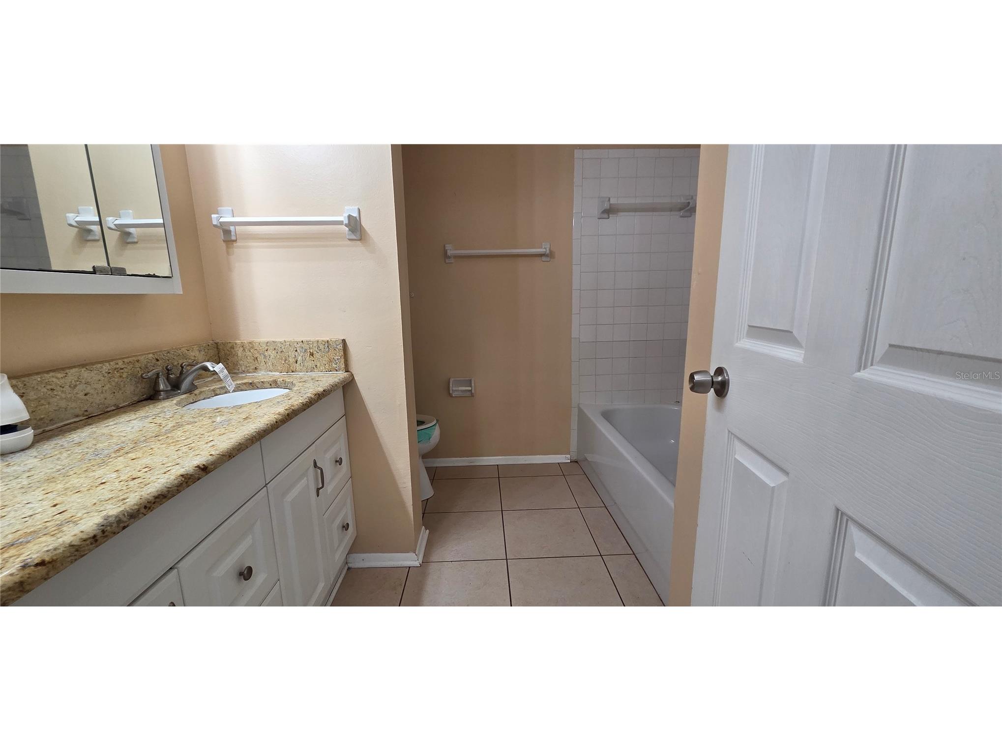 1702 S Miller Road Valrico FL 33594 L4957918 image77