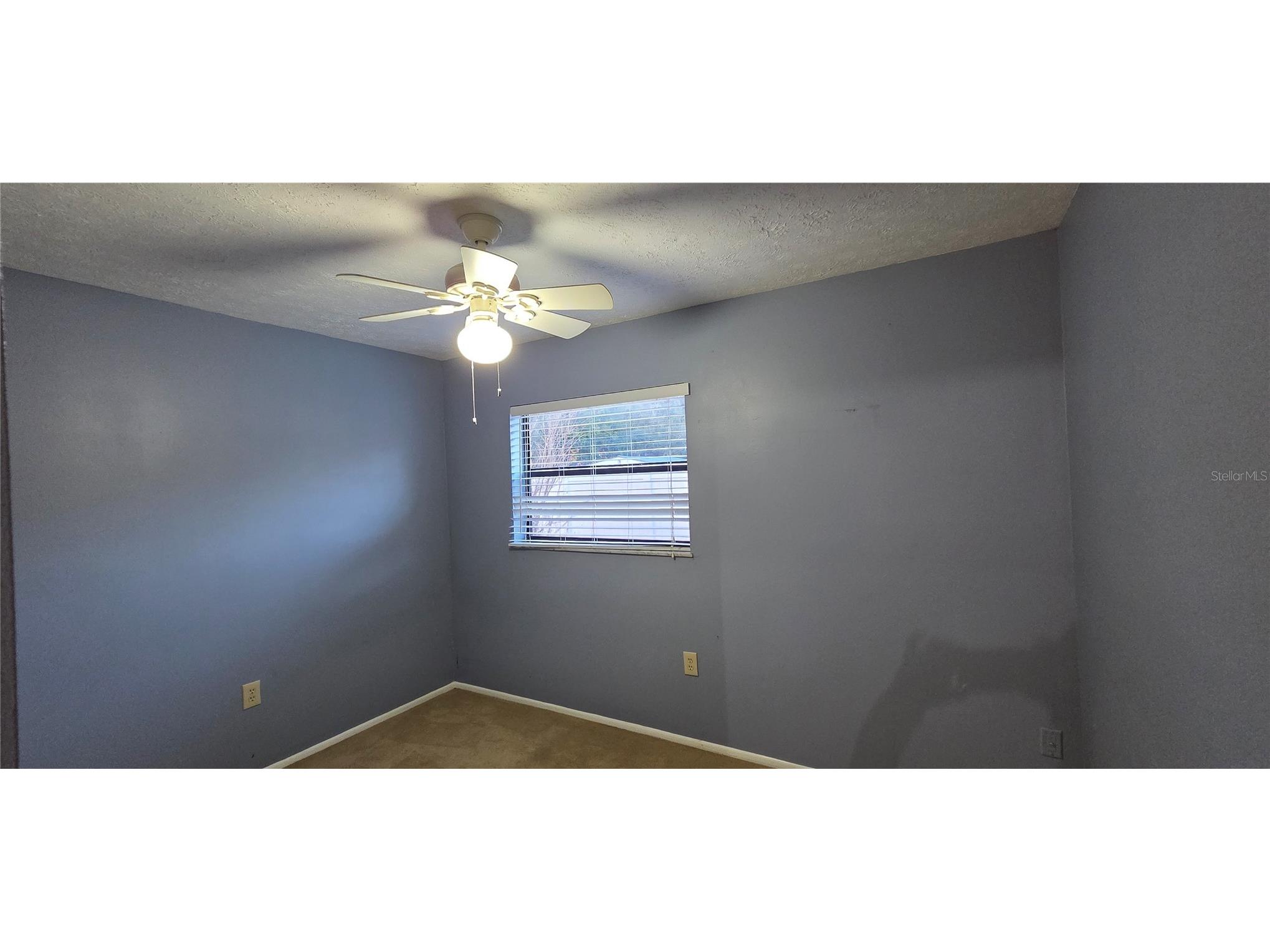 1702 S Miller Road Valrico FL 33594 L4957918 image78