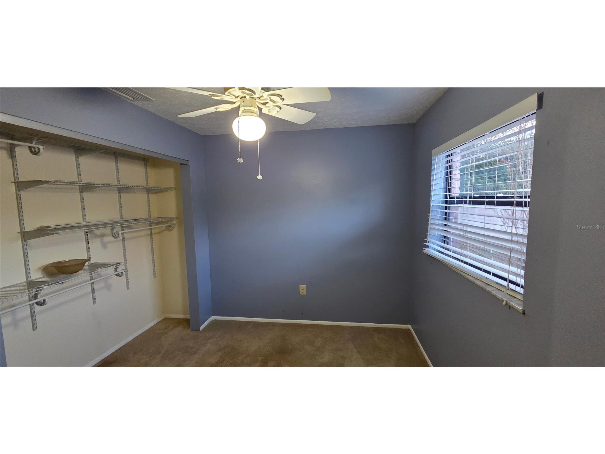 1702 S Miller Road Valrico FL 33594 L4957918 image80