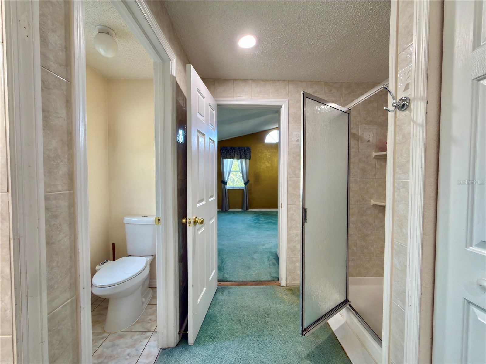 1702 Sunkissed Drive Tarpon Springs FL 34689 TB8502362 image14