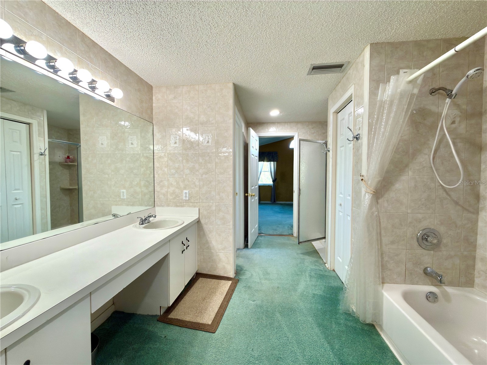 1702 Sunkissed Drive Tarpon Springs FL 34689 TB8502362 image15