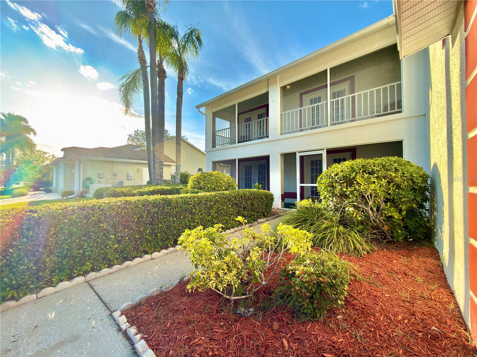 1702 Sunkissed Drive Tarpon Springs FL 34689 TB8502362 image2