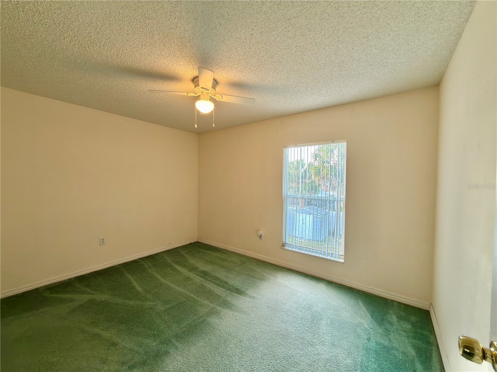 1702 Sunkissed Drive Tarpon Springs FL 34689 TB8502362 image21