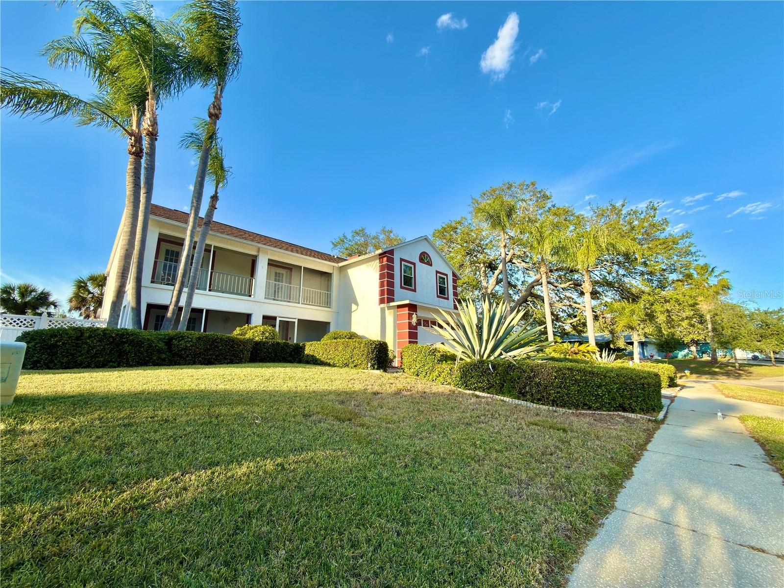 1702 Sunkissed Drive Tarpon Springs FL 34689 TB8502362 image29