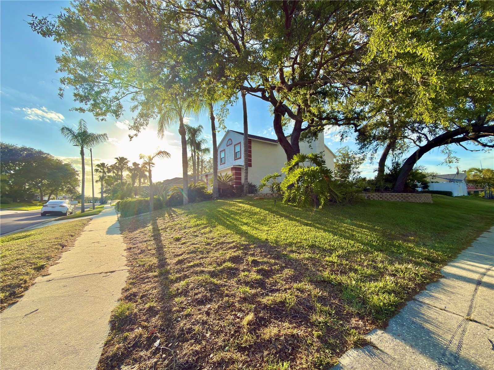 1702 Sunkissed Drive Tarpon Springs FL 34689 TB8502362 image30