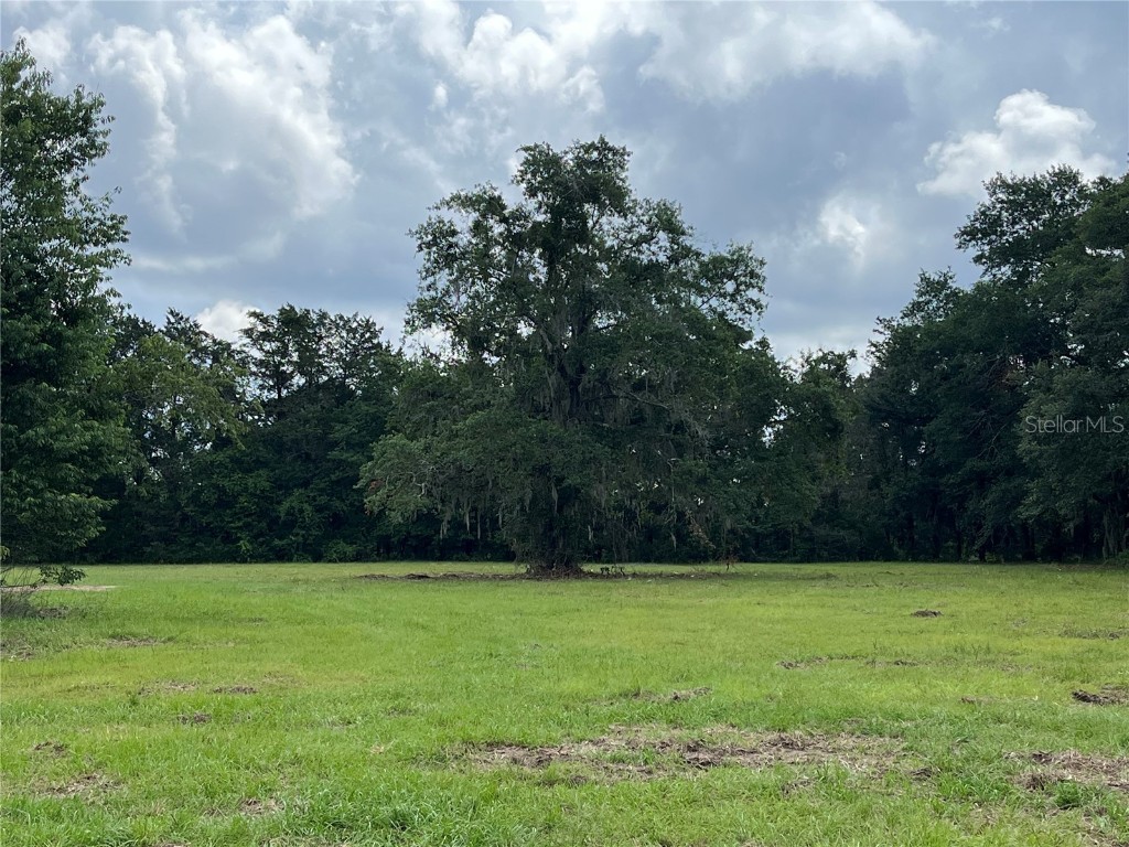 17021 NE 21st Street Gainesville FL 32609 OK222773 image1