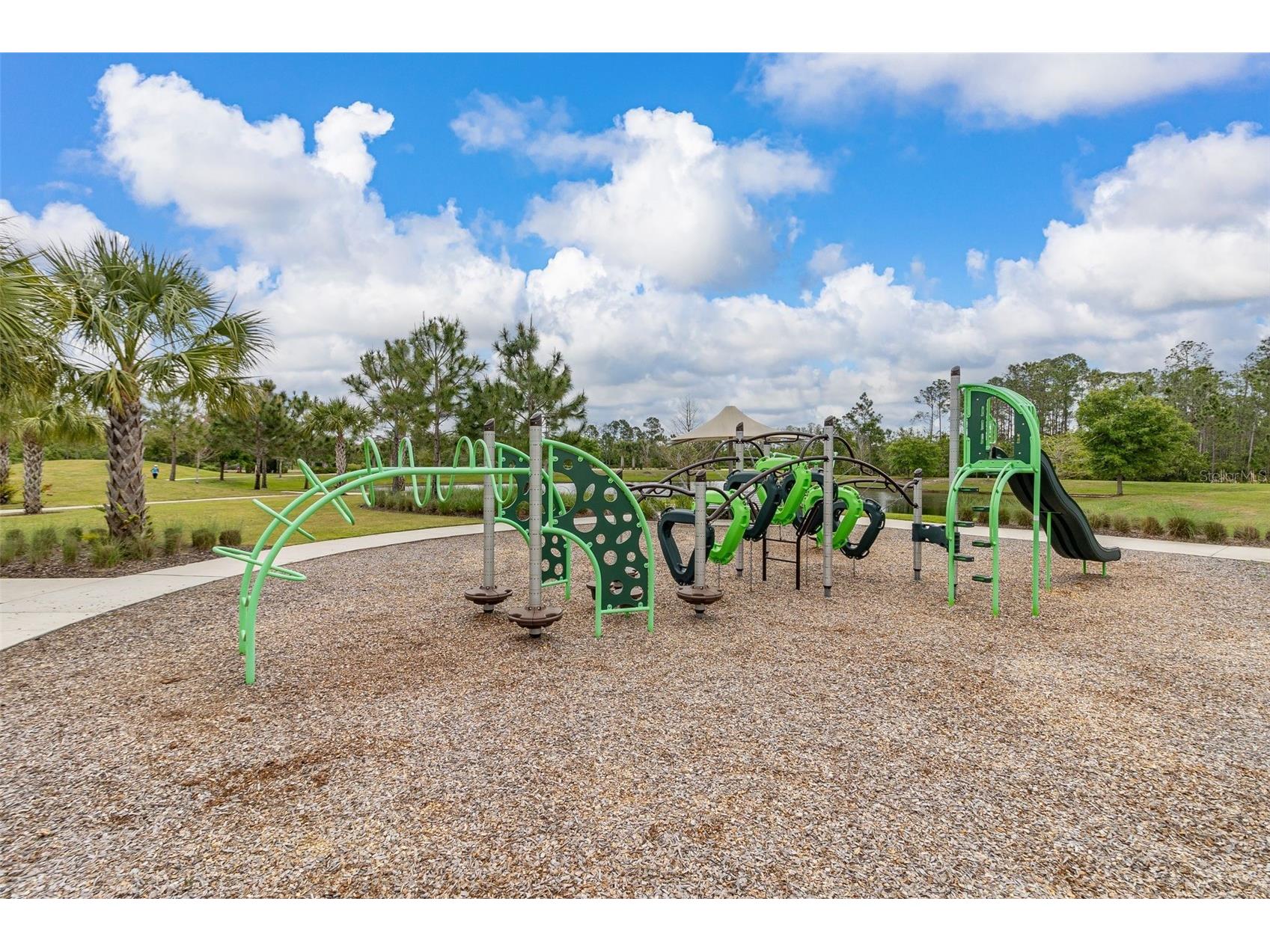 17023 Goldcrest Loop Clermont FL 34714 S5151244 image88