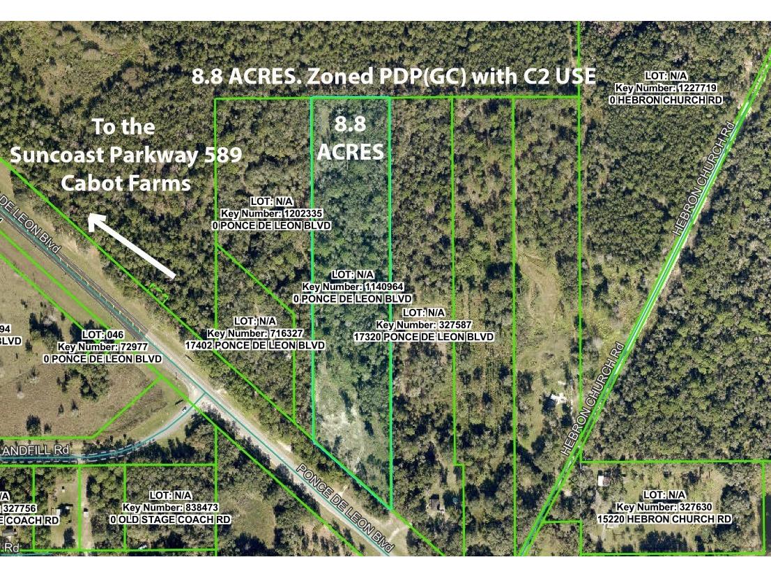 17338 Ponce De Leon Boulevard Brooksville FL 34614 W7881586 image1