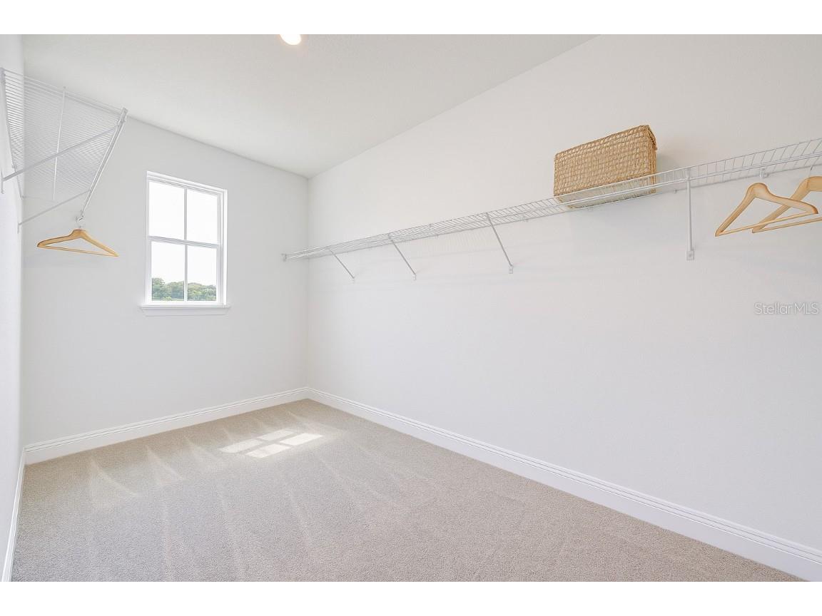 17024 Clear Mind Alley Winter Garden FL 34787 O6336341 image40