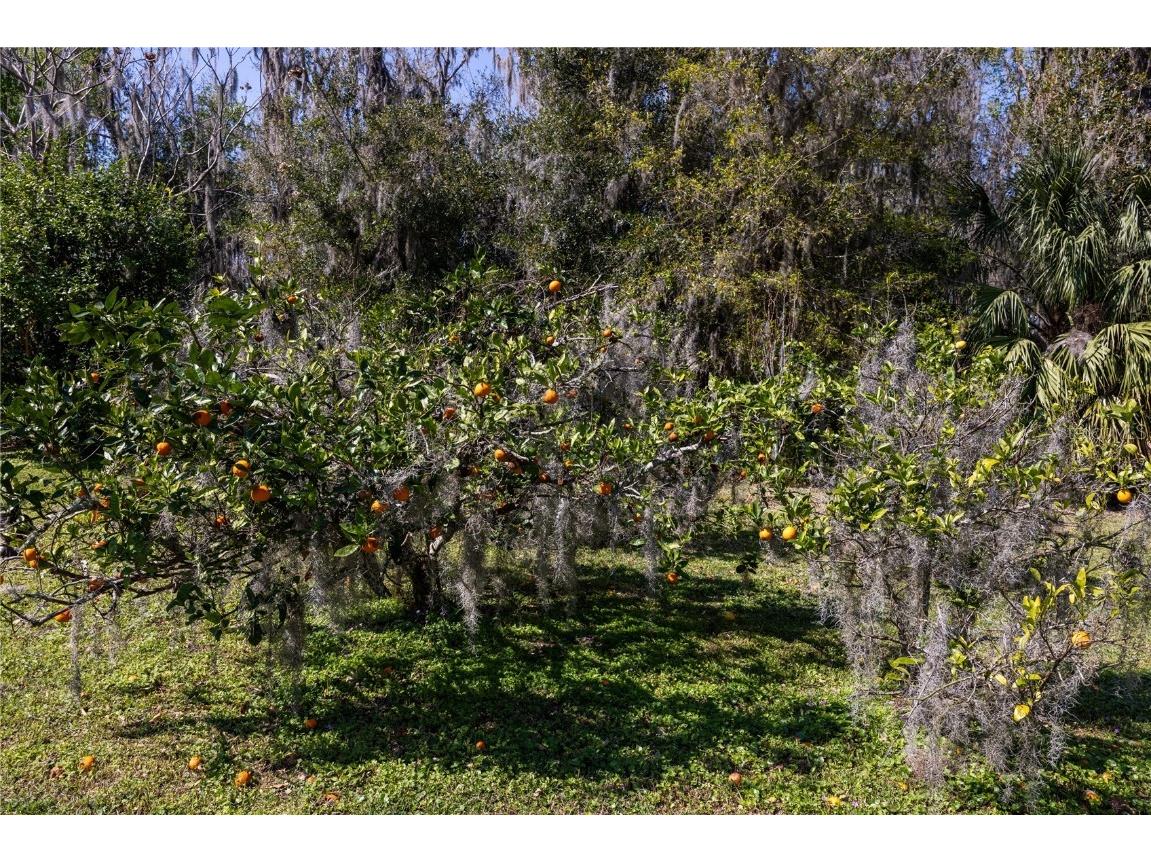 17024 NE 120th Avenue Waldo FL 32694 - LAKE ALTO GC534145 image45