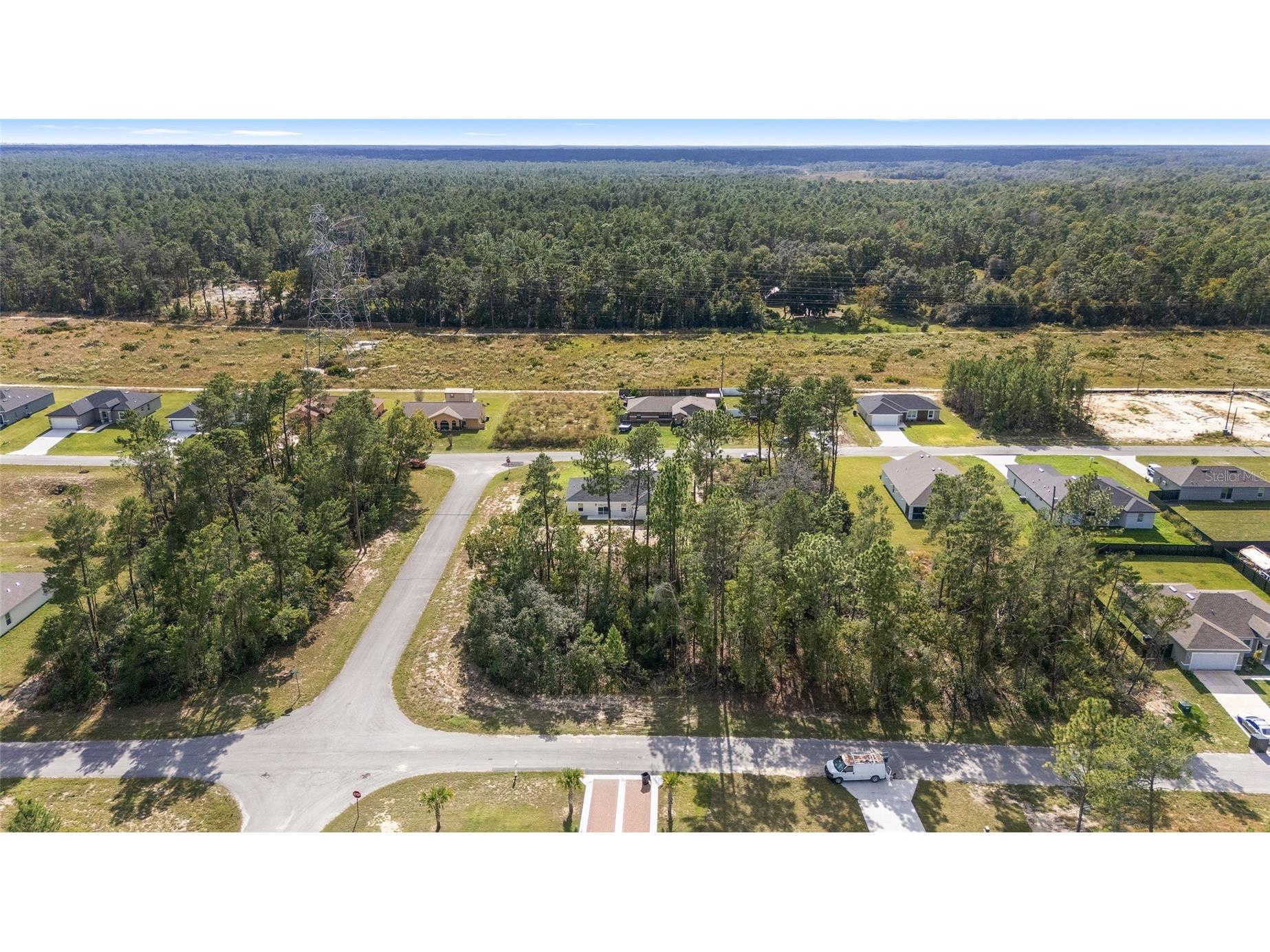 17025 SW 44th Circle Ocala FL 34473 OM711669 image63