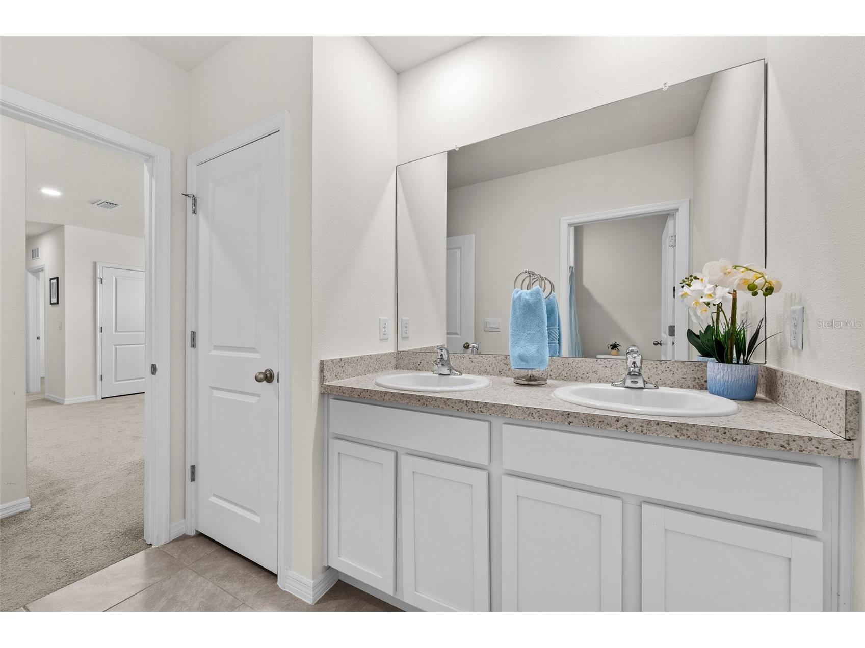 17029 Avon Dive Lane Wimauma FL 33598 TB8481901 image21