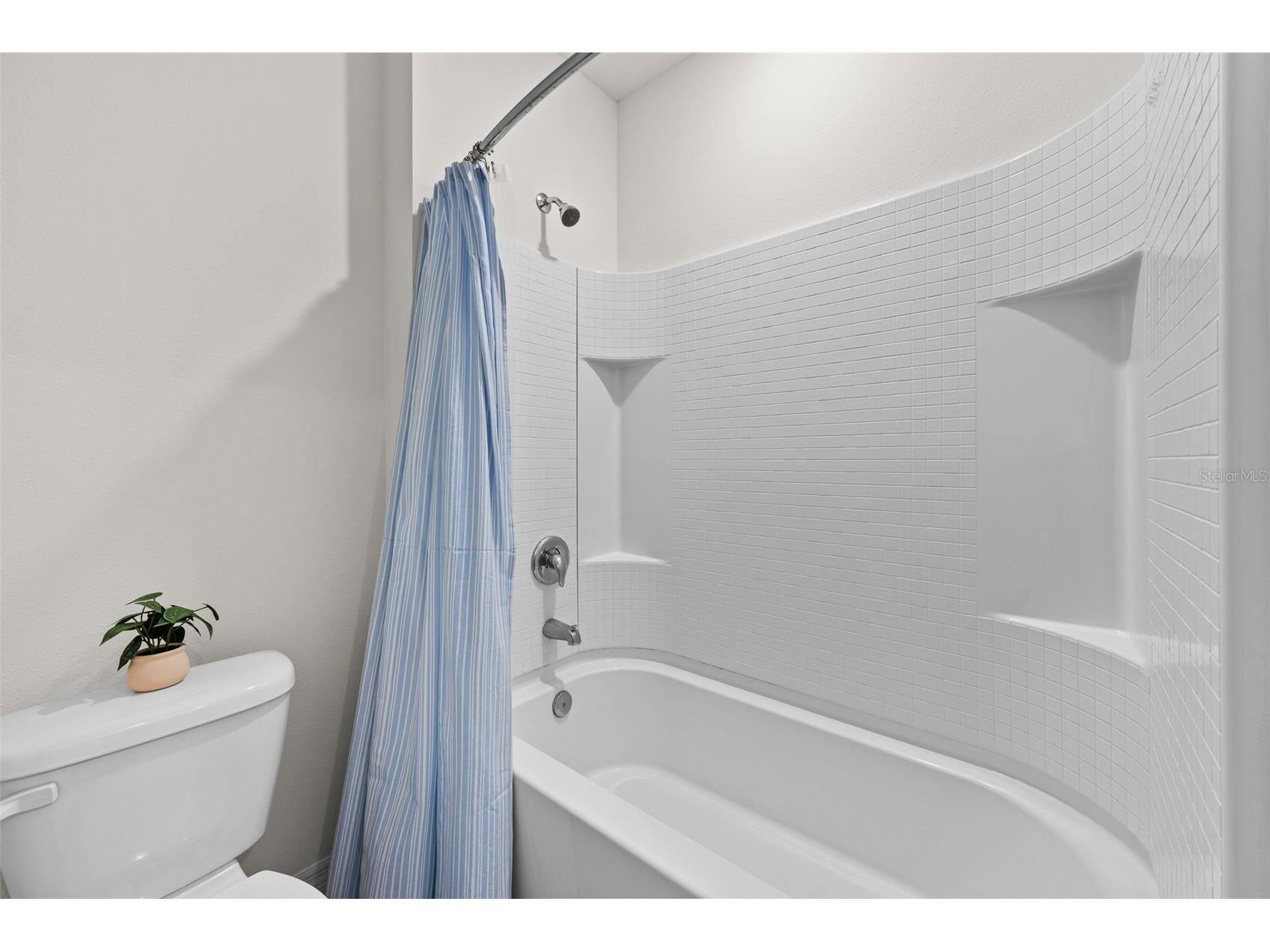 17029 Avon Dive Lane Wimauma FL 33598 TB8481901 image22