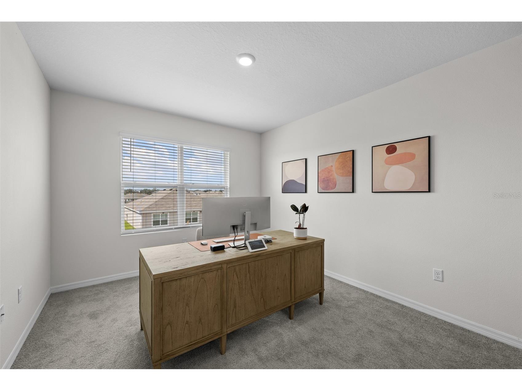 17029 Avon Dive Lane Wimauma FL 33598 TB8481901 image24